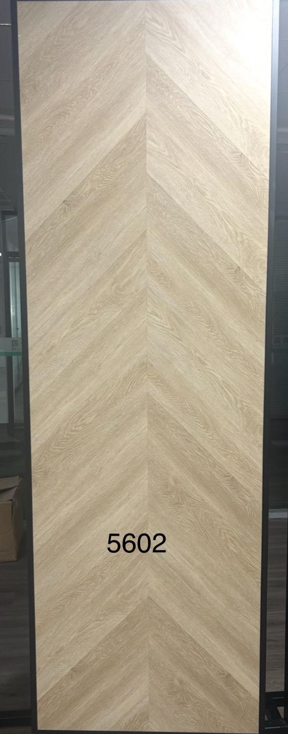 Collections undefined 6